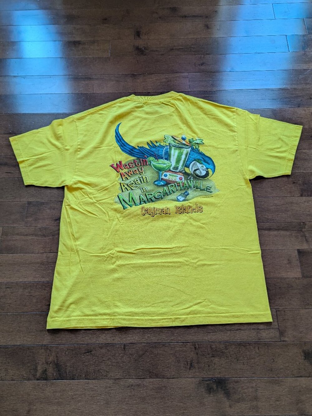 (2006) Jimmy Buffett - Picture 3 of 5